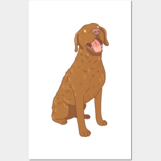 Chesapeake Bay Retriever Posters and Art